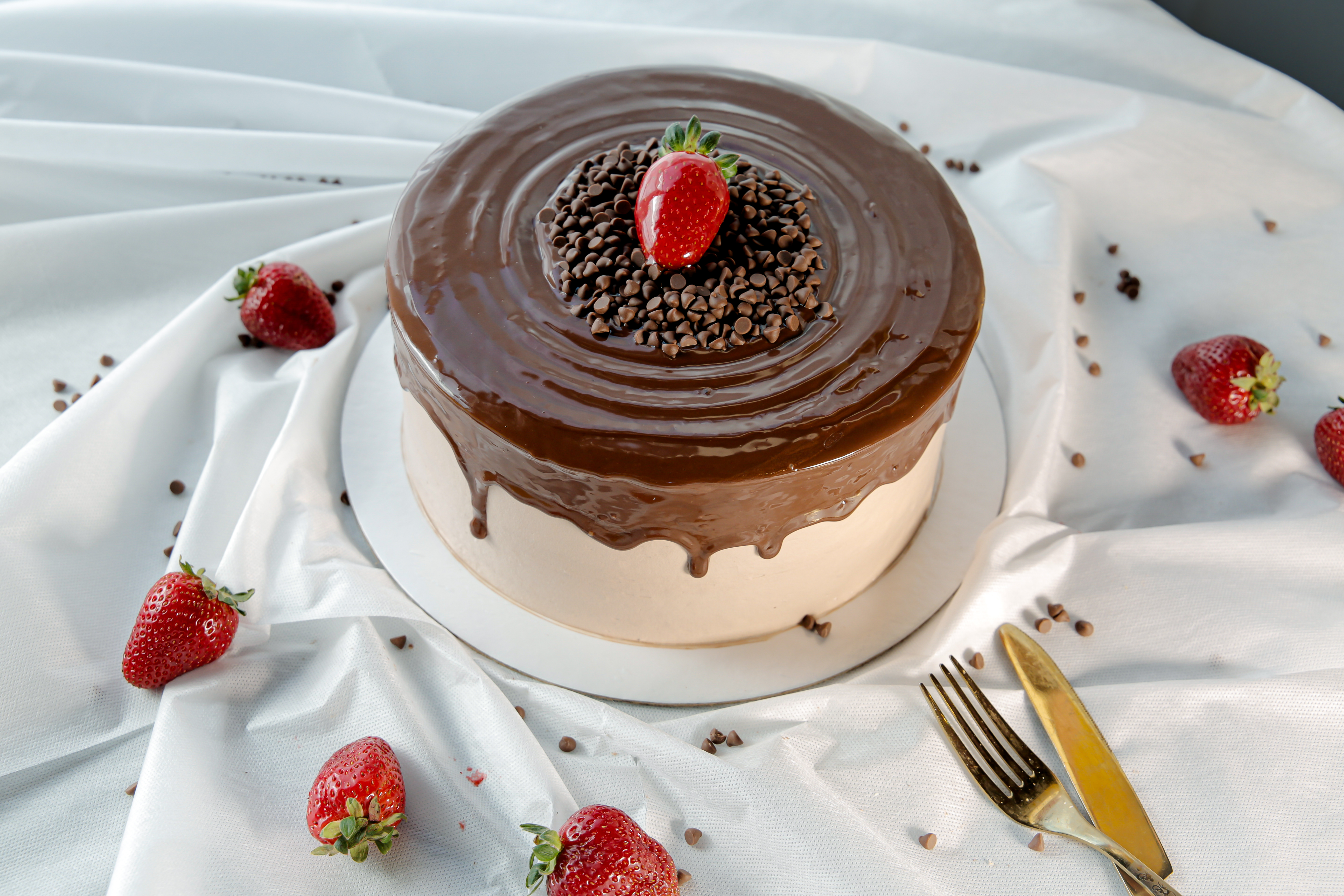 Cake 8